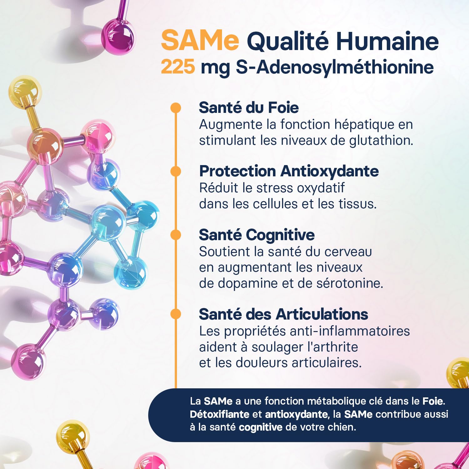 Complément Foie pour Chiens de Taille Moyenne - Complément De Chardon Marie pour Le Soutien du Foie des Chiens - avec S-adénosylméthionine (Same) Et Silybine - 30 Comprimés