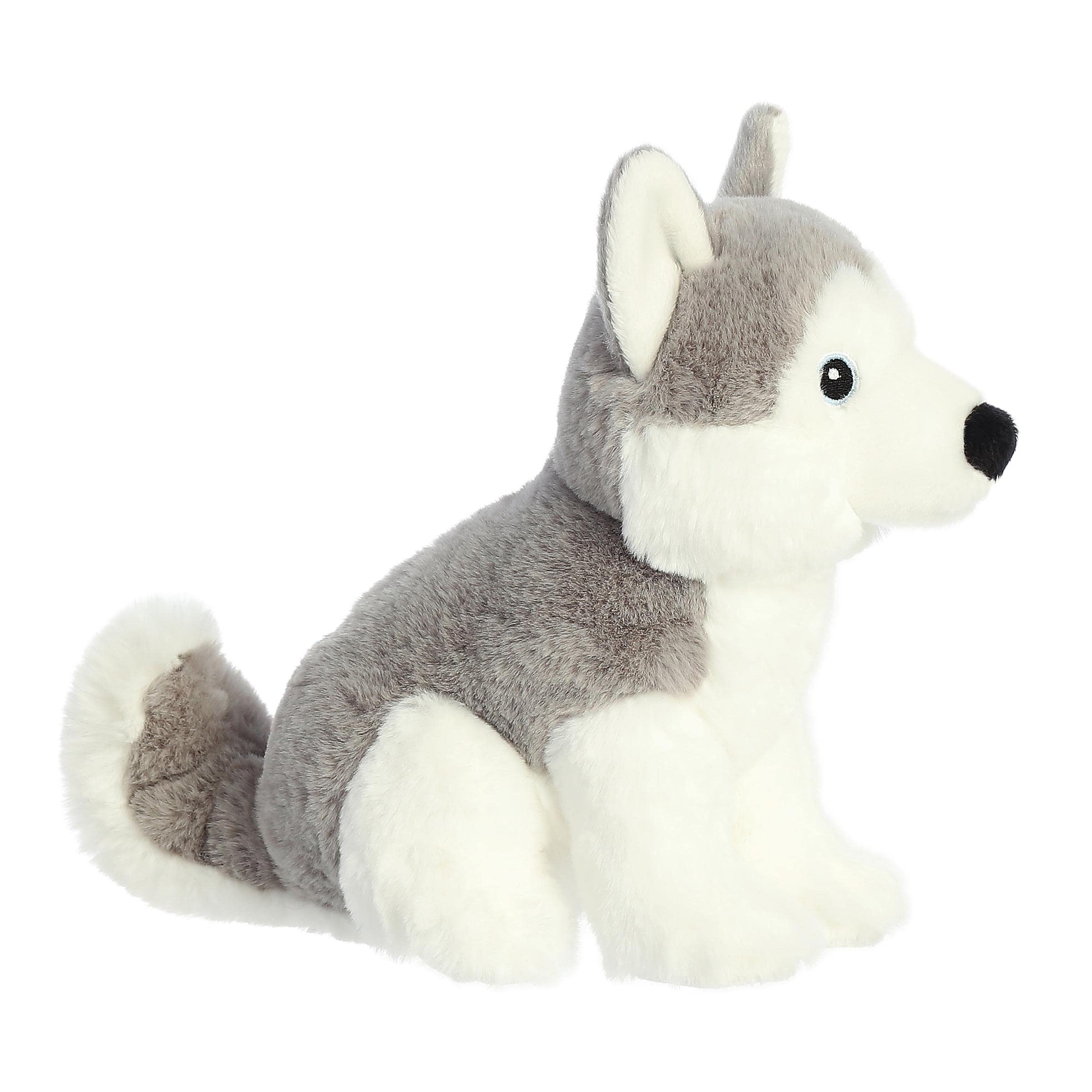Aurora - Eco Nation - 8" Husky