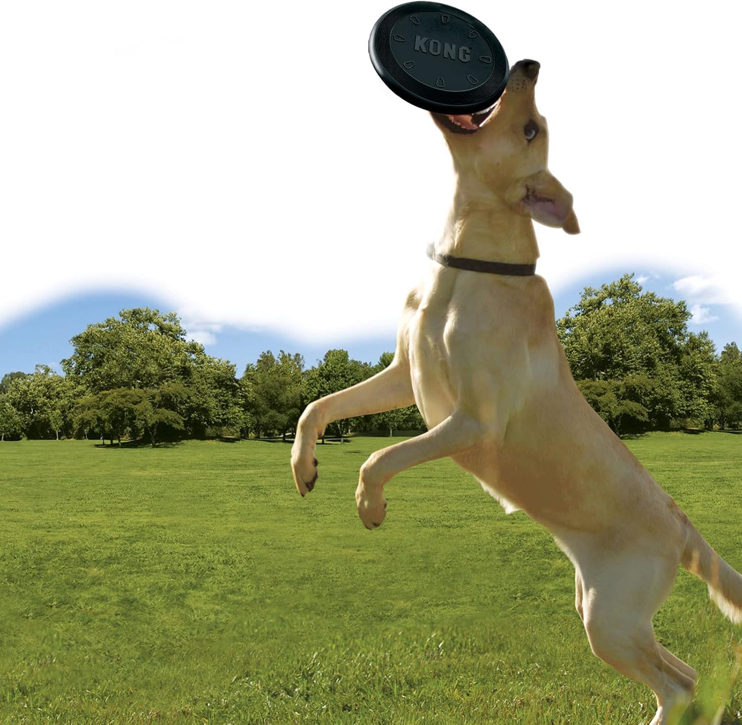 KONG Extreme Flyer, Durable Soft Rubber Flying Disc, for Large Dogs | Soft Durable Rubber Flying Disc with Rebound, Great for Fetch & Retrieve During Active Outdoor Playtime