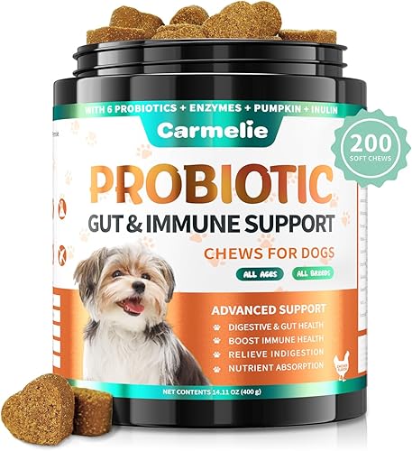 Carmelie Probióticos para perros, 200 masticables suaves, probióticos digestivos y enzimas para la salud intestinal con calabaza, fibra para perros,