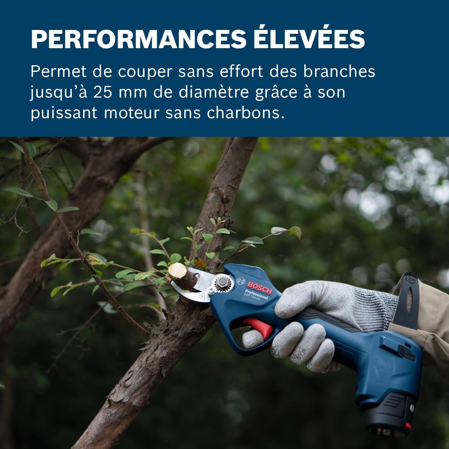 Bosch Professional GGP 12V-25 sécateur 12V, moteur sans charbons, coupes jusqu'à 25 mm, 2 batteries 3,0 Ah