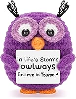 Dalycro Handmade Positive Crochet Owl with Encouragement Card - Inspirational Gifts for Women, Office Room Car Decor
