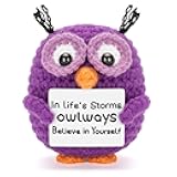 Positive Crochet Animals Handmade Owl with Encouragement Card Crochet Owl Gifts for Women Room Office Car Decor