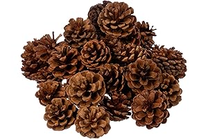 Cinnamon Scented Pine Cones: Enchanting Fragrance and Versatility