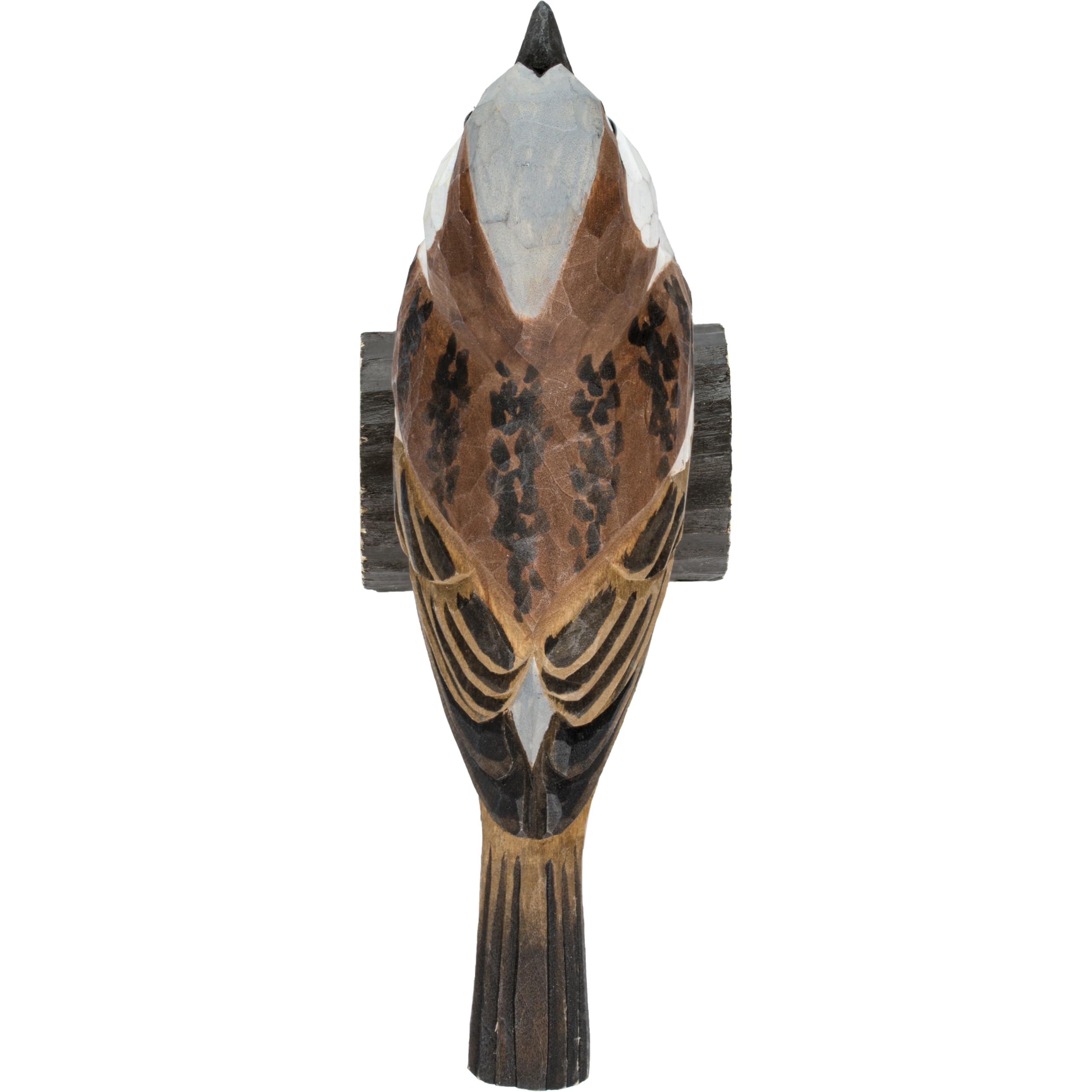 WILDLIFE GARDEN – Decobird Gorrión doméstico