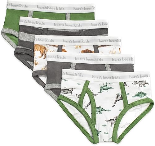 Burt's Bees Baby Conjunto de ropa interior para niño, transpirable, 100% algodón orgánico, paquete de 5 para niños de 2 a 8 años