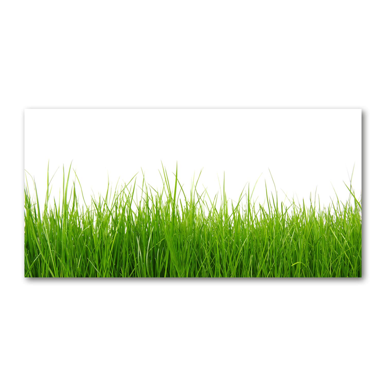 Image verre plastique déco murale moderne tableau végétal vert 120x60 cm