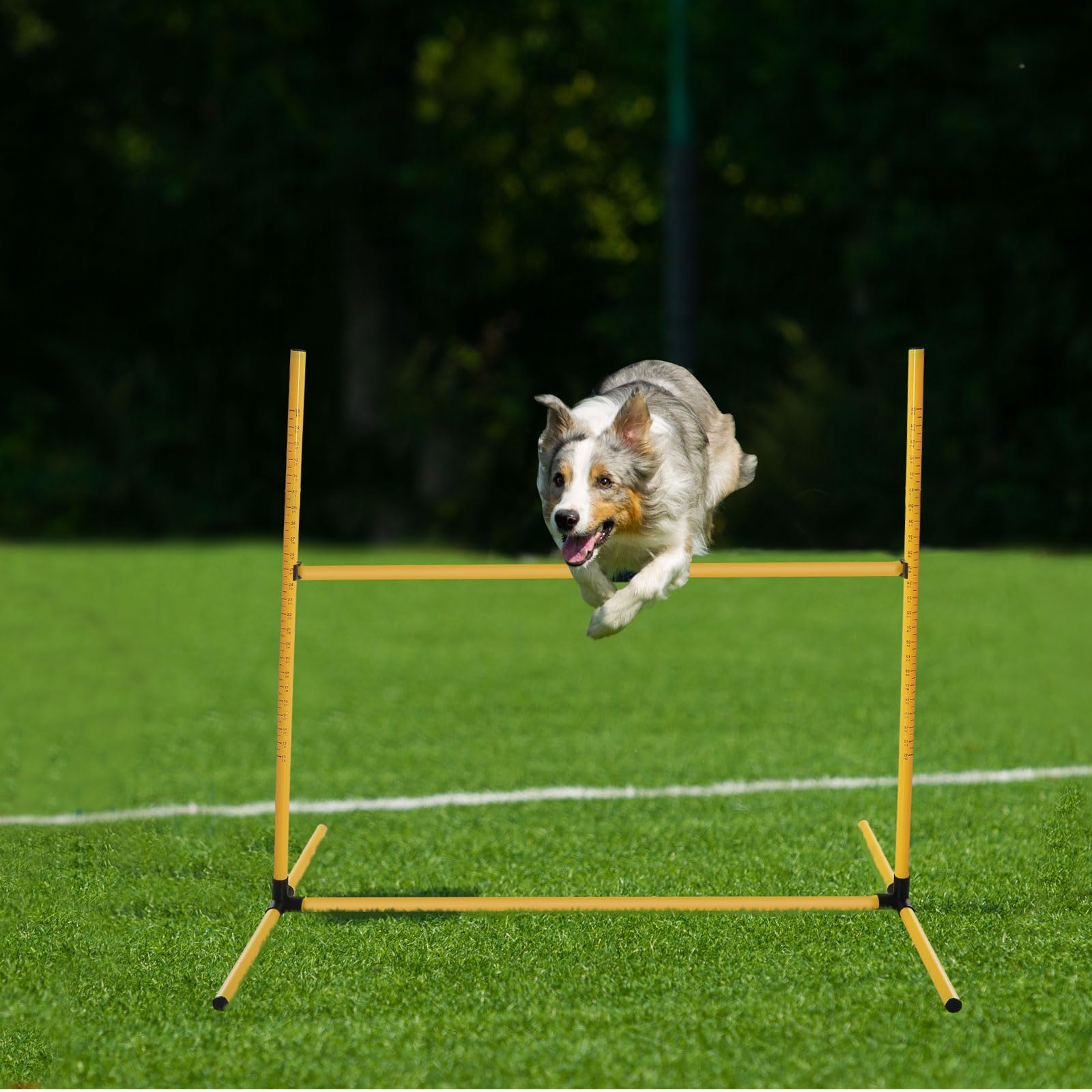 Produktbild von Agility Ausrüstung 7-teilig G TALECO GEAR Agility Set Für Hunde - 7-teiliges Set Mit Tunnel, Hürden & Slalomstangen Agility Set Hunde