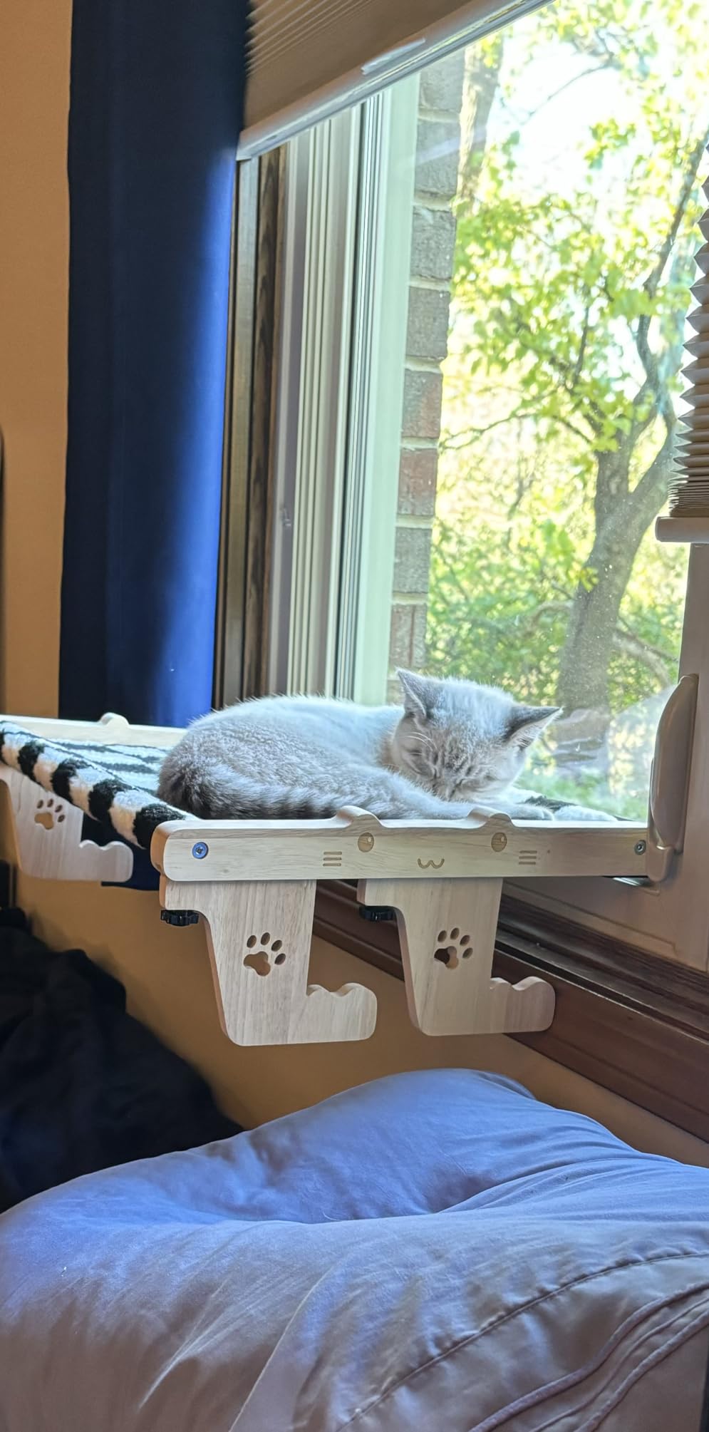 Qxmlucky Cat Window Perch for Large Cats Cat Window