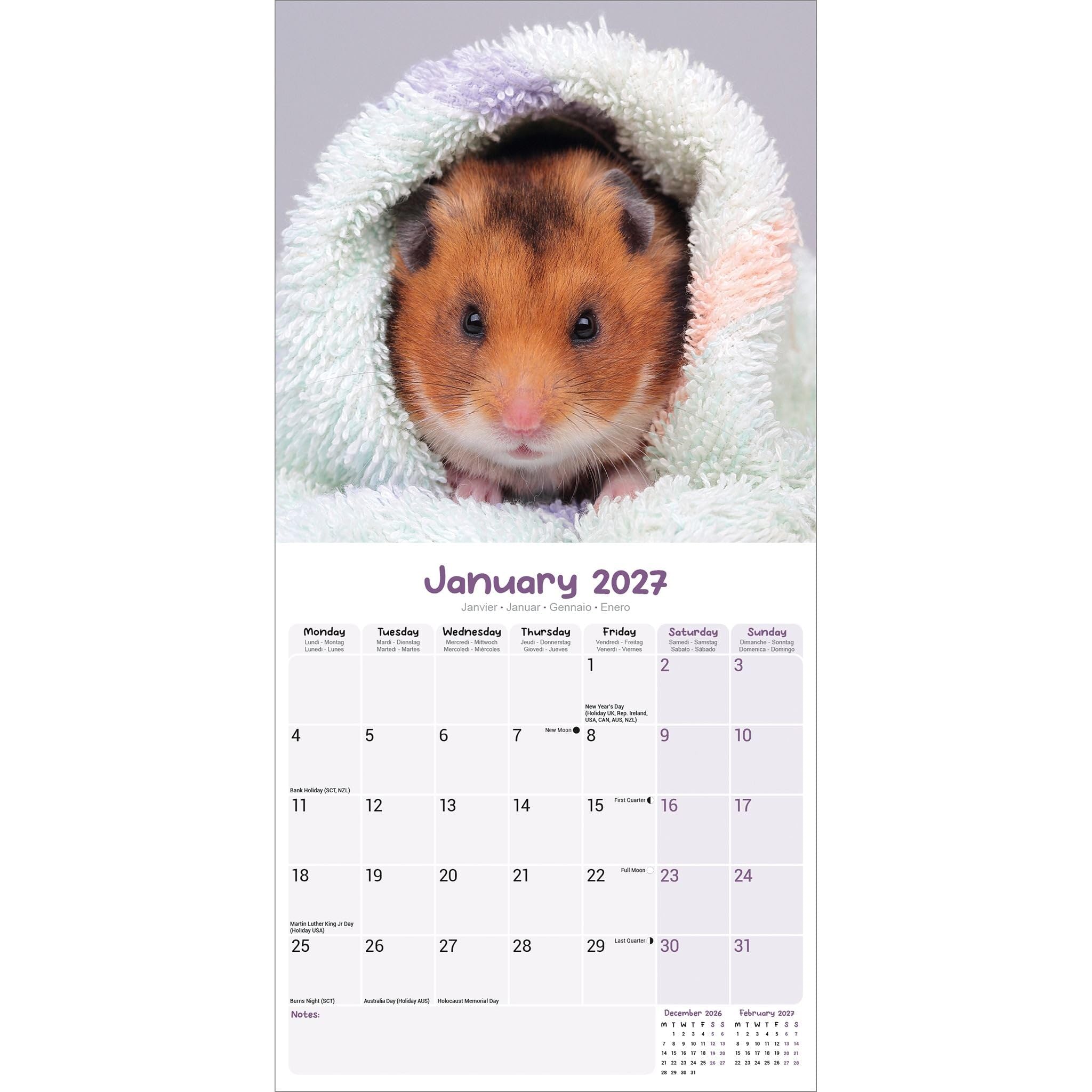 Avonside Hamsters 2027 Calendar with Organisational Stickers, 16