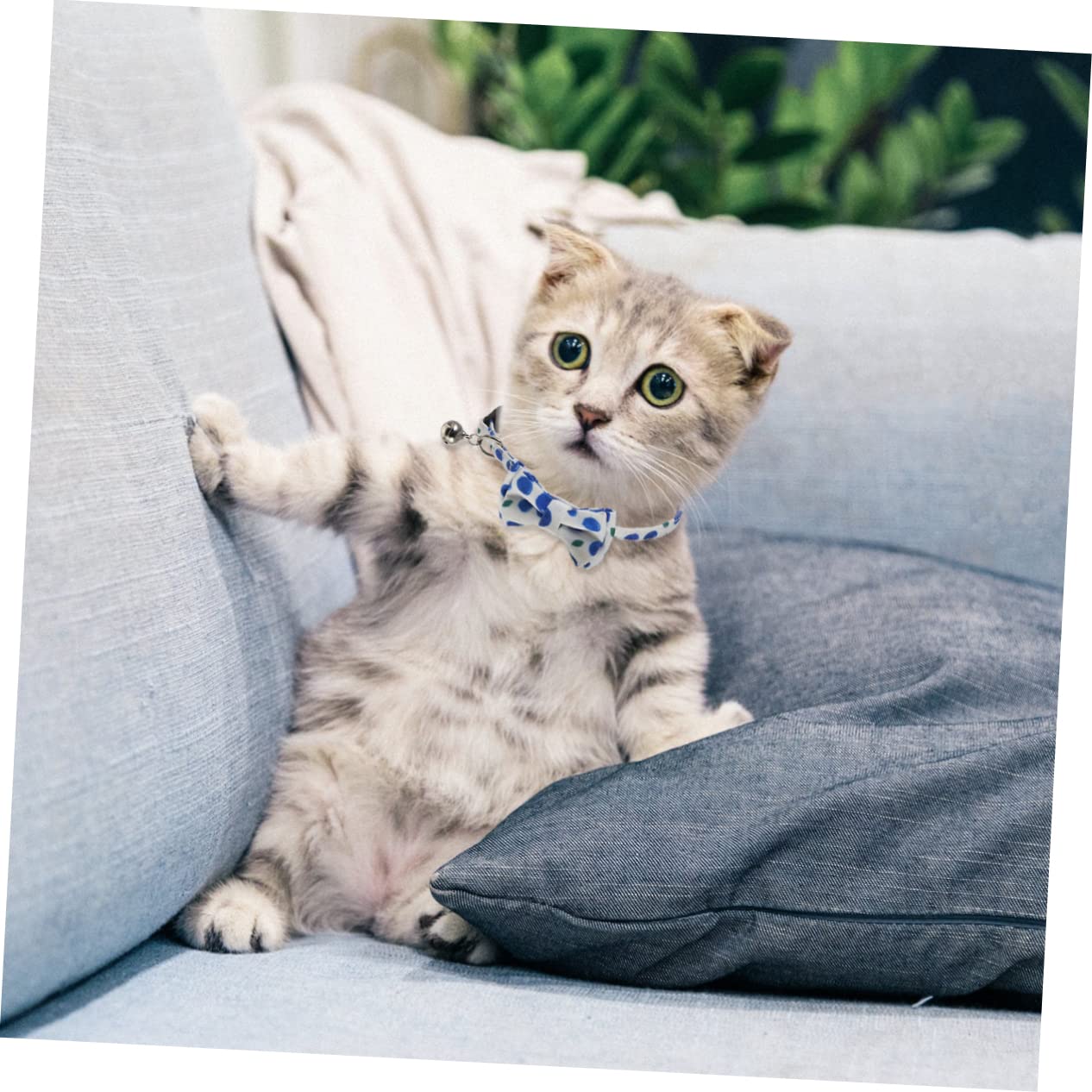 DOITOOL 9pezzi Collare Per Gatti Con Campanello e Fiori Di Accessori Estivi Per Animali Domestici Stile Unico e Funzionalità Pratica