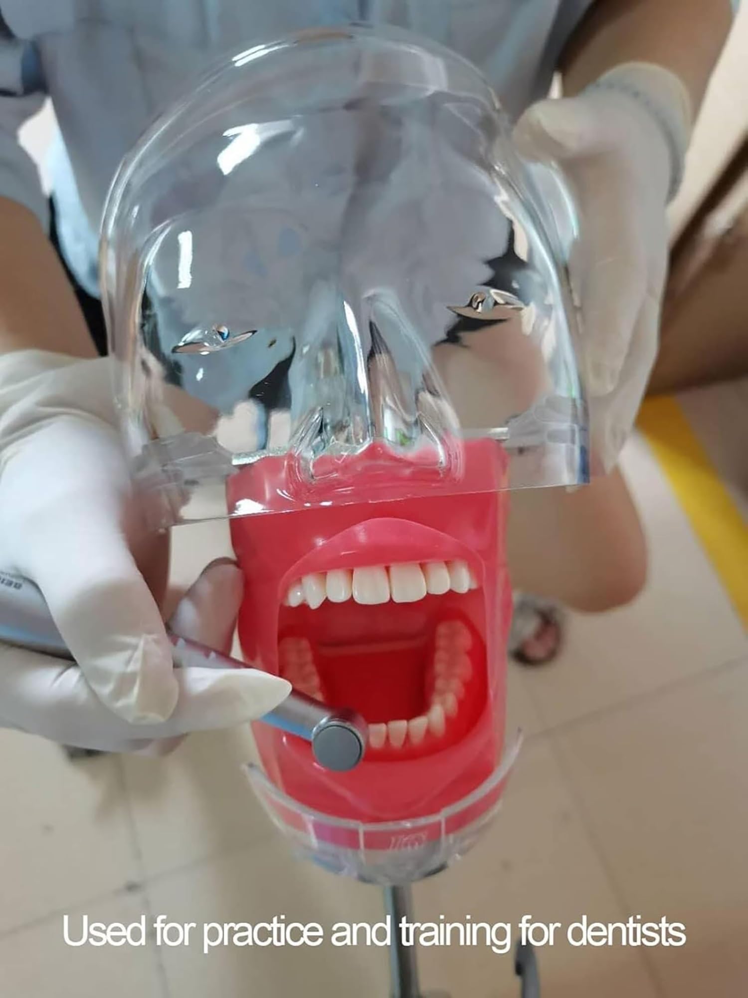 Maniquí de entrenamiento dental portátil con dientes extraíbles y modelos de cabeza: ideal para la formación, la enseñanza y las sesiones prácticas en odontología