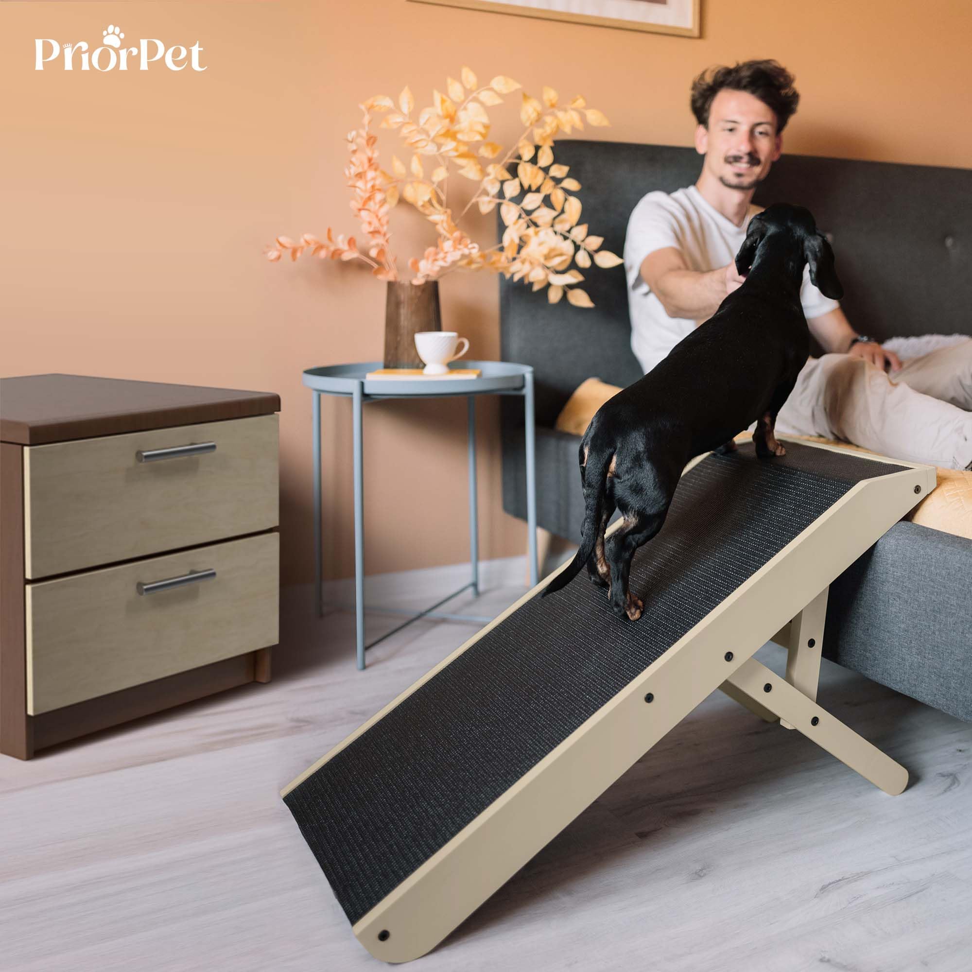 Escalier pour Chien Réglable 18-53 cm Rampe Pliable Bois de Bouleau Beige pour Lit et Canapé