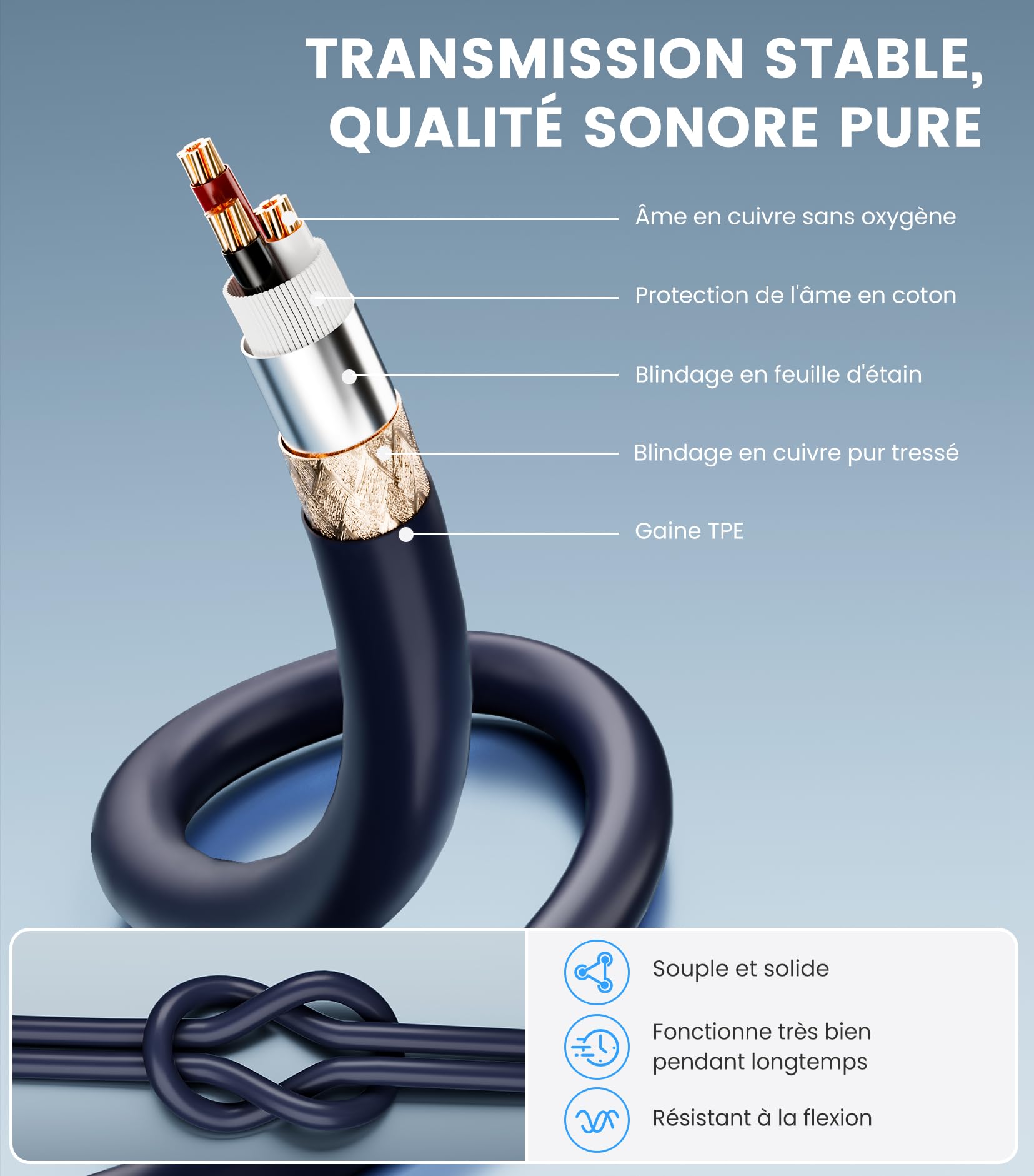 Tisino Câble double RCA vers XLR, 2 RCA vers 2 XLR mâles HiFi stéréo connexion microphone câble câble de chemin - 1 m