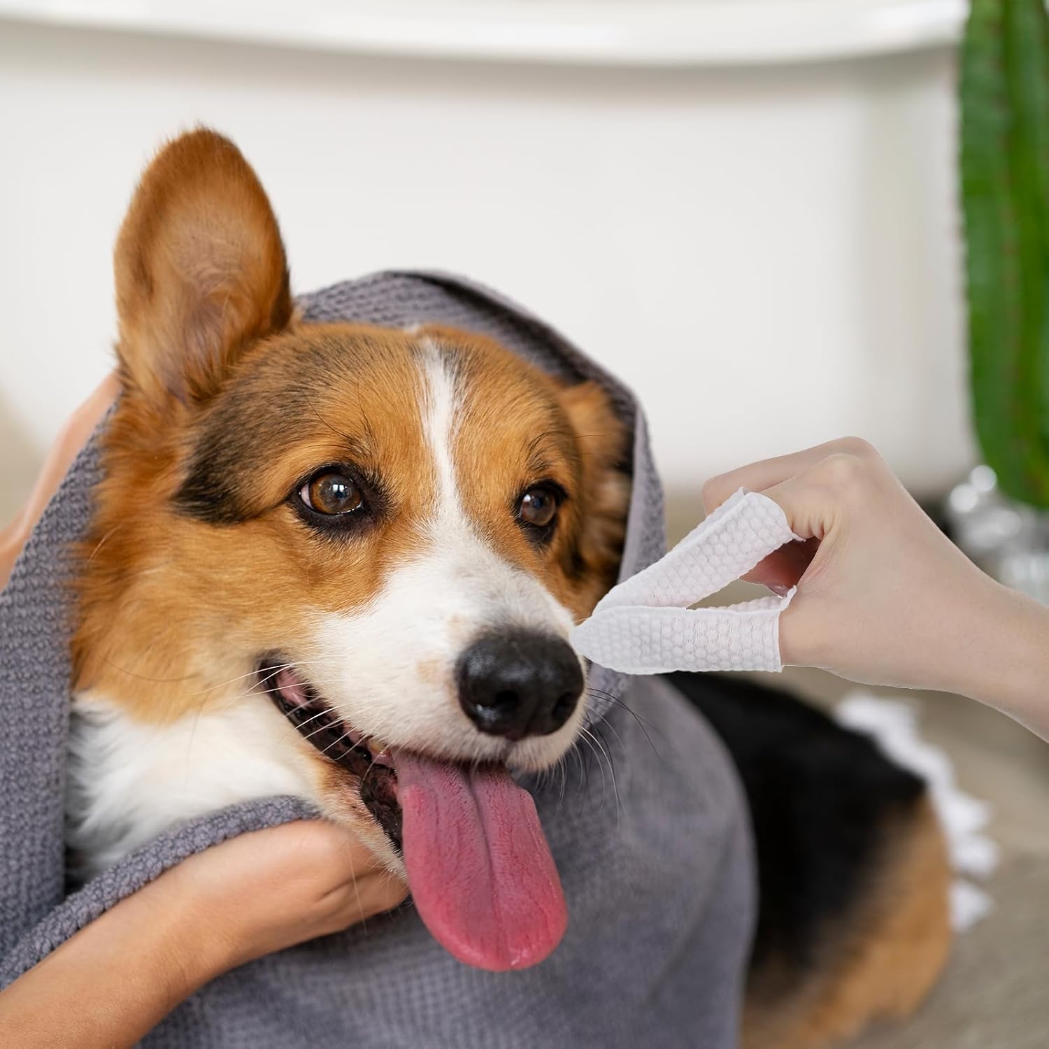 100pcs Cotton Finger Cots, Dog Ear Wipes Finger Ear Fingers Wipes for Dogs Fingers Covers Protection for Tips Gauze Sleeve, Breathable, Sweat Resistant Perfect for Work, Nails Cleaning(White)