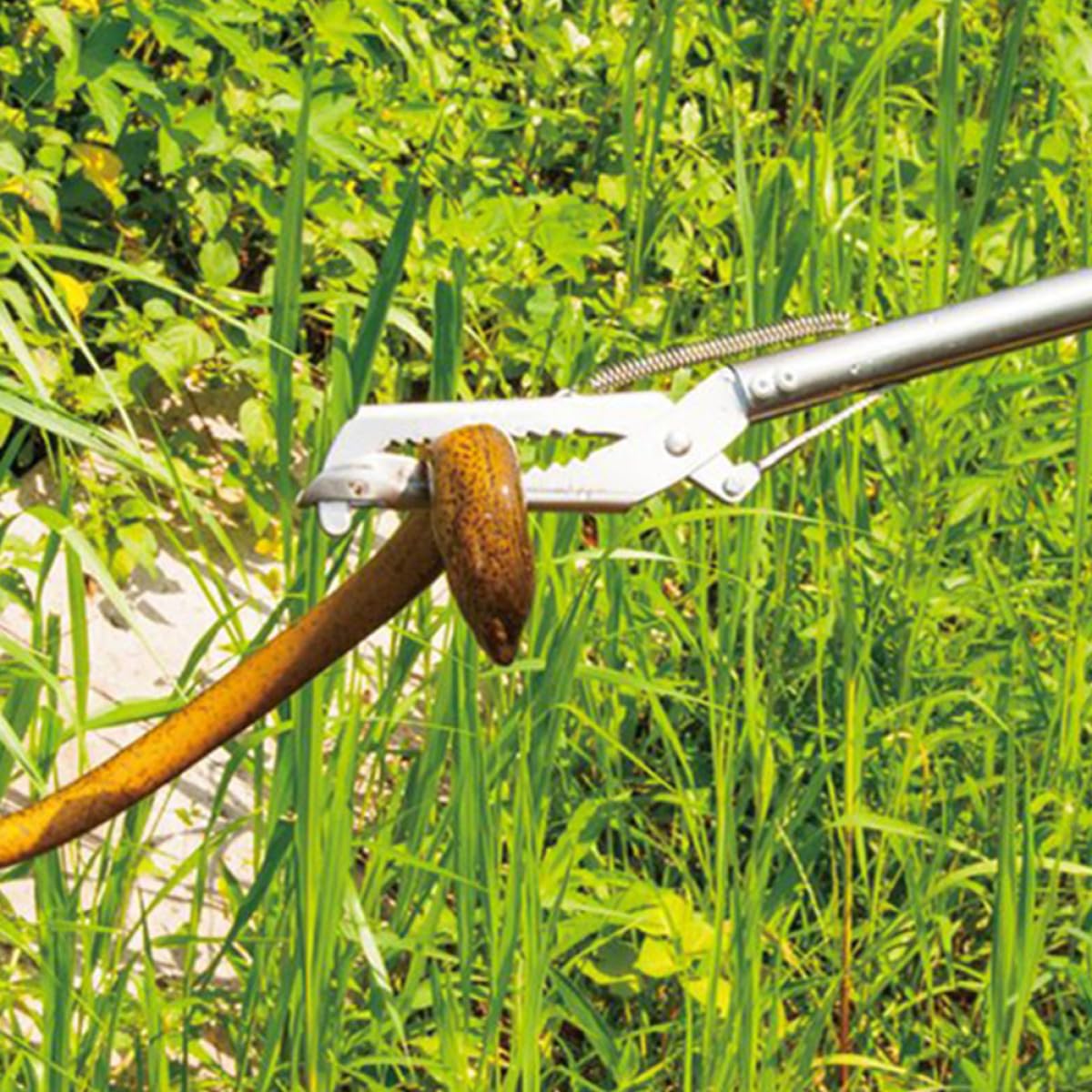 Pinze per Granchi in Acciaio Inossidabile Antiscivolo Design Ampio Multiuso, Morsetto Robusto per Pesca di Serpenti di Mare per Barbecue