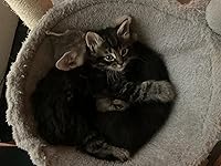 Review Image by Miss Chevious