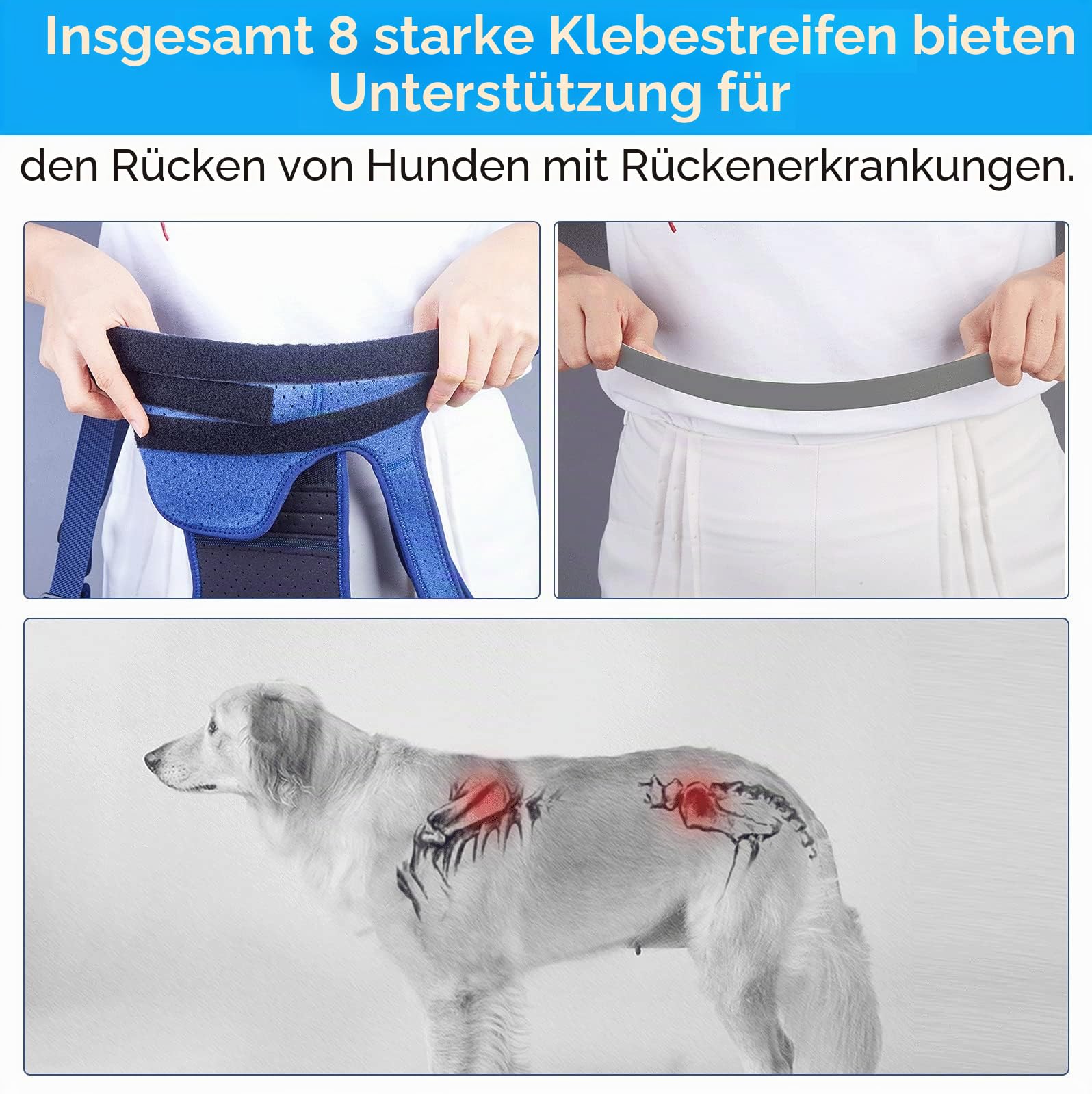 COODEO Hunderückenstütze für Hunde Arthritis, Haustier Rückenstütze für IVDD, Rückenprotektor hilft Schmerzlinderung, chirurgische Erholung &Rehabilitation, Hunde Rückenerkrankungen Prävention (XXL)