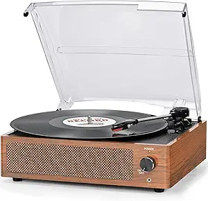 Vinyl Record Player with Speakers