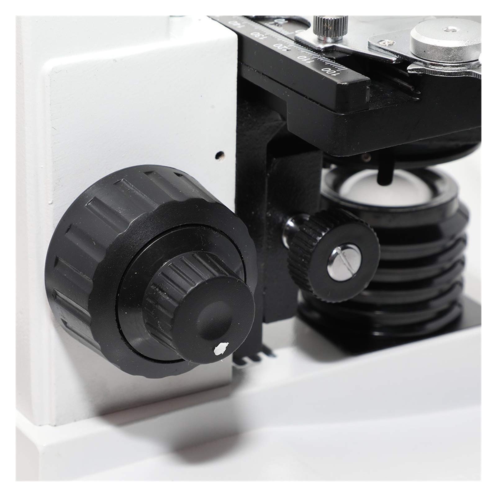 Microscopio biologico, X-S-P100S-M Trinocluar Biologico 40x-1600x LED School Student