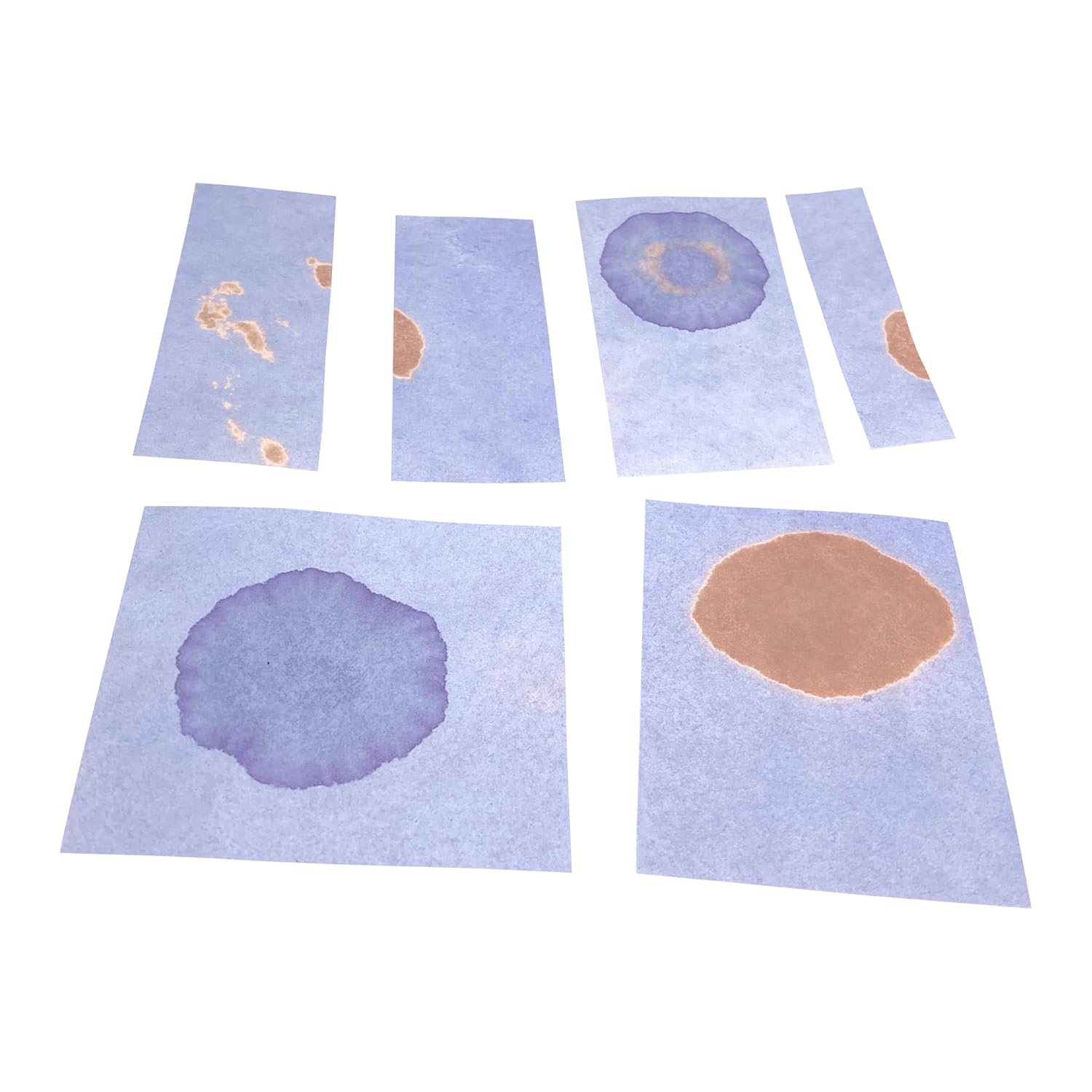 Blue Litmus Test Paper 8x10 Inch Sheet [Pack of 24]