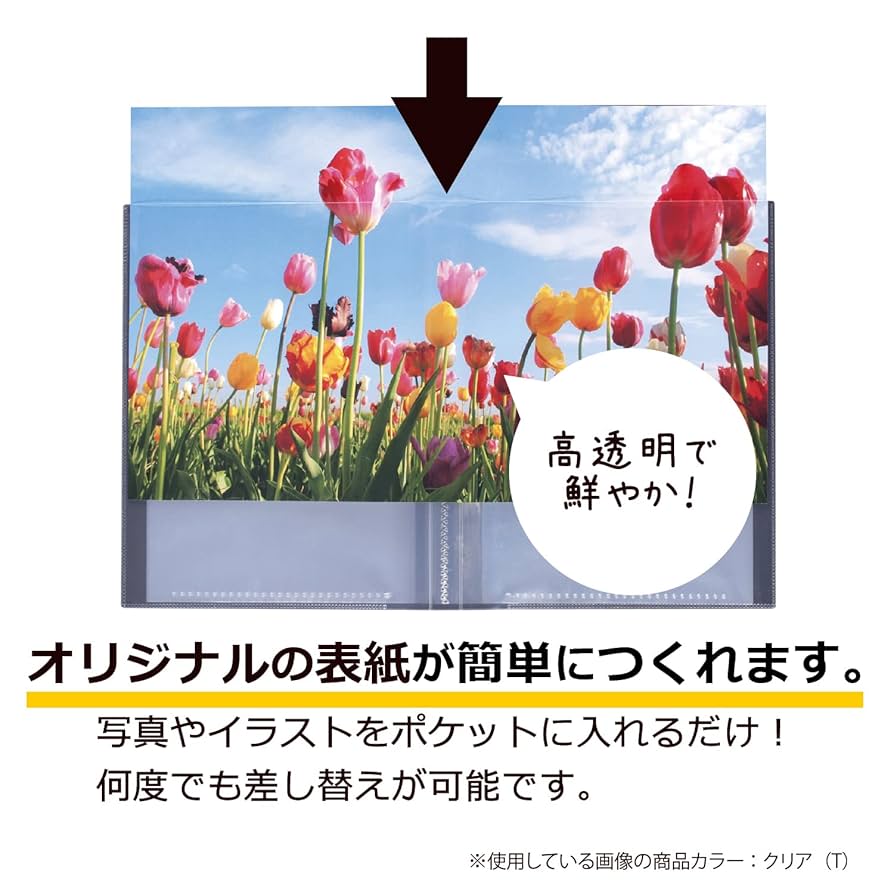 XG クリアファイル チサポストカード パックン ポストカードホルダー〈高透明〉 – セキセイ株式会社