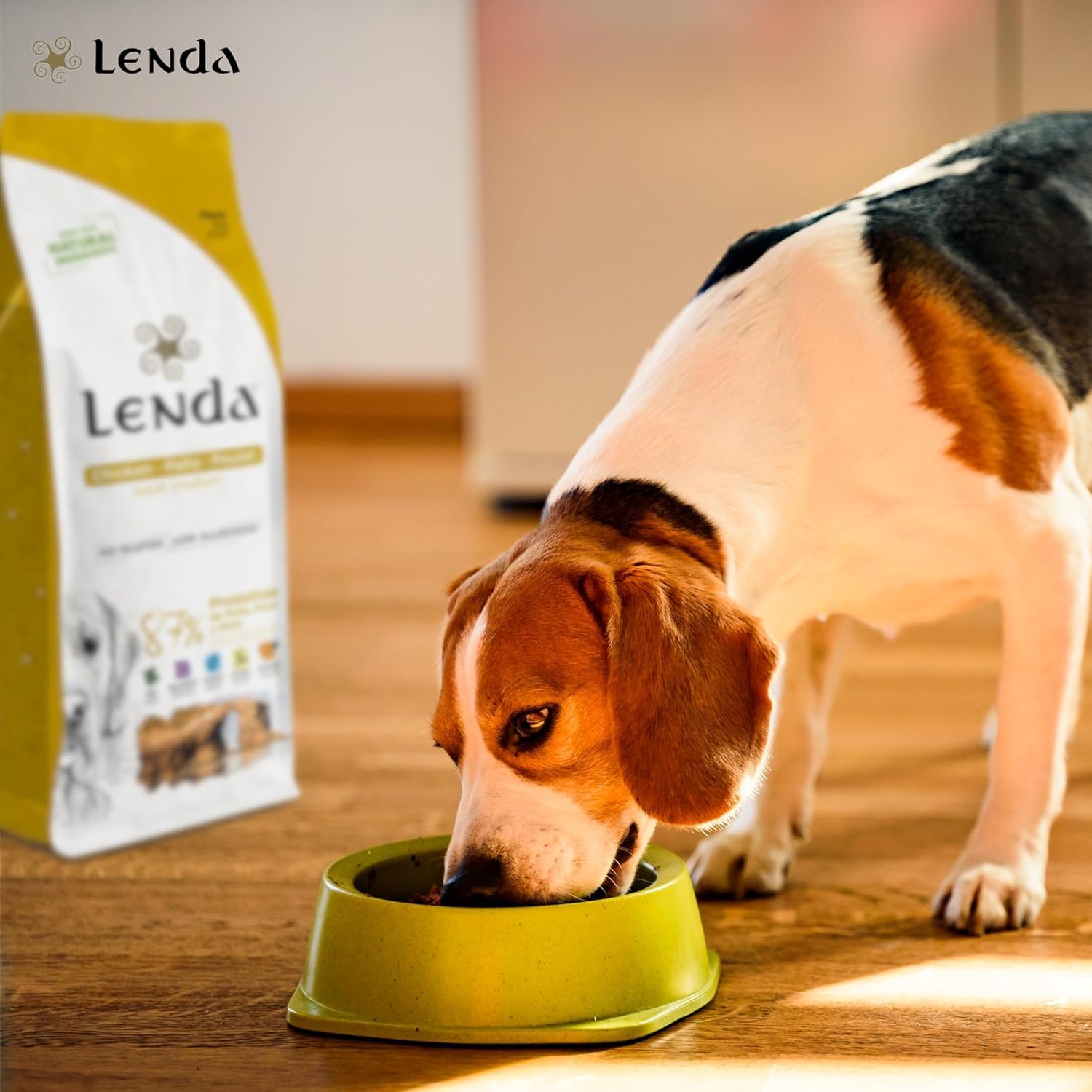 Lenda Chicken 20 kg - Crocchette per Cani Giovani e Adulti con Condroprotettori Probiotici e Olio di Calmone - Alimento per Cani Grande e Piccola - Cibo per Cane di Pollo - Croccantini Cane Naturale