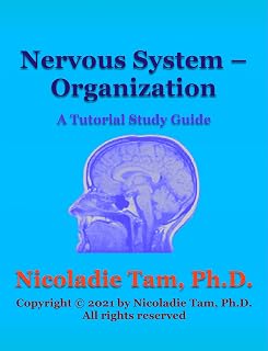 Nervous System – Organization: A Tutorial Study Guide (Science Textbook Series)