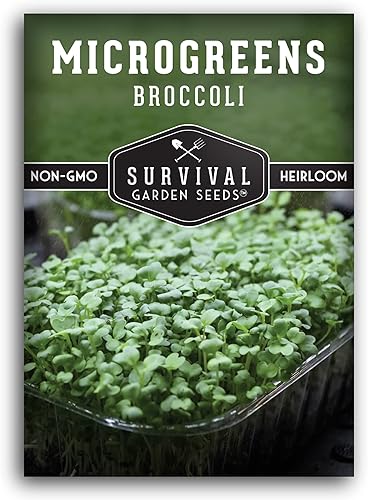 5 paquetes de semillas de microgreens de brócoli para plantar y cultivar Planta plantas de microvegetales de hoja verde en interiores Cultiva tu