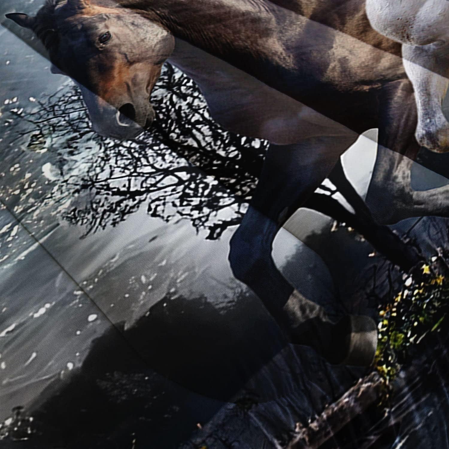 Galloping Horse Comforter Bedding Set,Teens Wild Animal Horse Galloping 3D Elegant Western Horses Print Comforter with 2 Pillowcases(Horse Galloping Queen) - Image 5