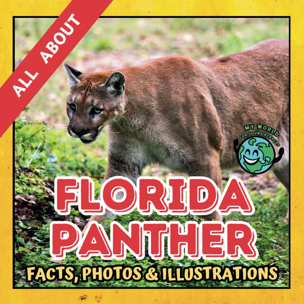 All about Florida Panther | Facts, Photos and Illustrations: A Picture Book for Curious Children | Screen-Free Infotainment (MY WORLD for YOUNG READERS)