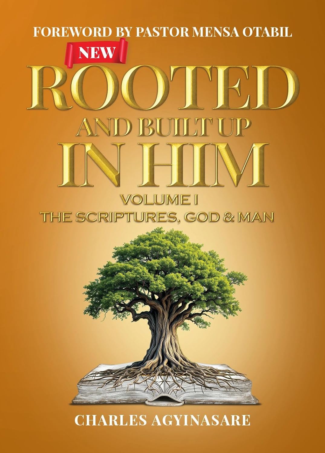 NEW ROOTED AND BUILT UP IN HIM VOL. I: The Scriptures, God & Man