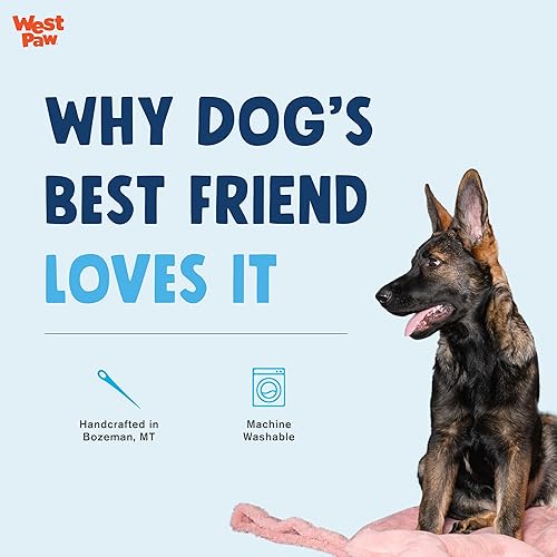 Miniatura 3 de WEST PAW Big Sky - Manta y manta para perros  Mantas para mascotas para muebles, sofás, sillas  Manta de forro polar suave y sedosa para perro,