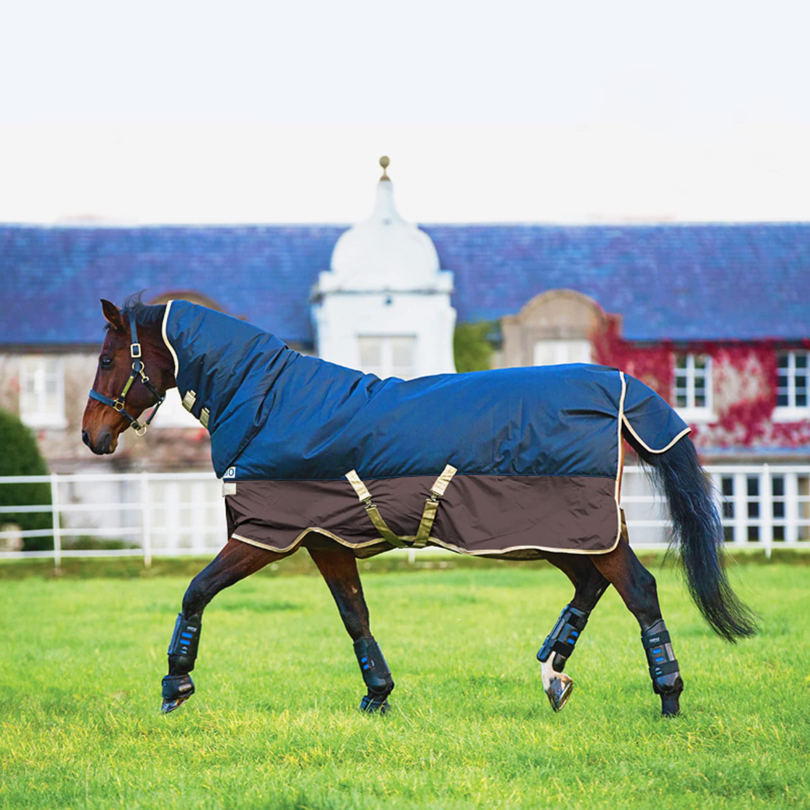 HARICSET Manta de Pelo de Caballo Manta para Caballos Invierno Mantas para Caballos Transpirables y Absorbentes de Sudor para El Invierno Manta de Invierno pa(Size:160cm(63in),Color:Azul Marrón)