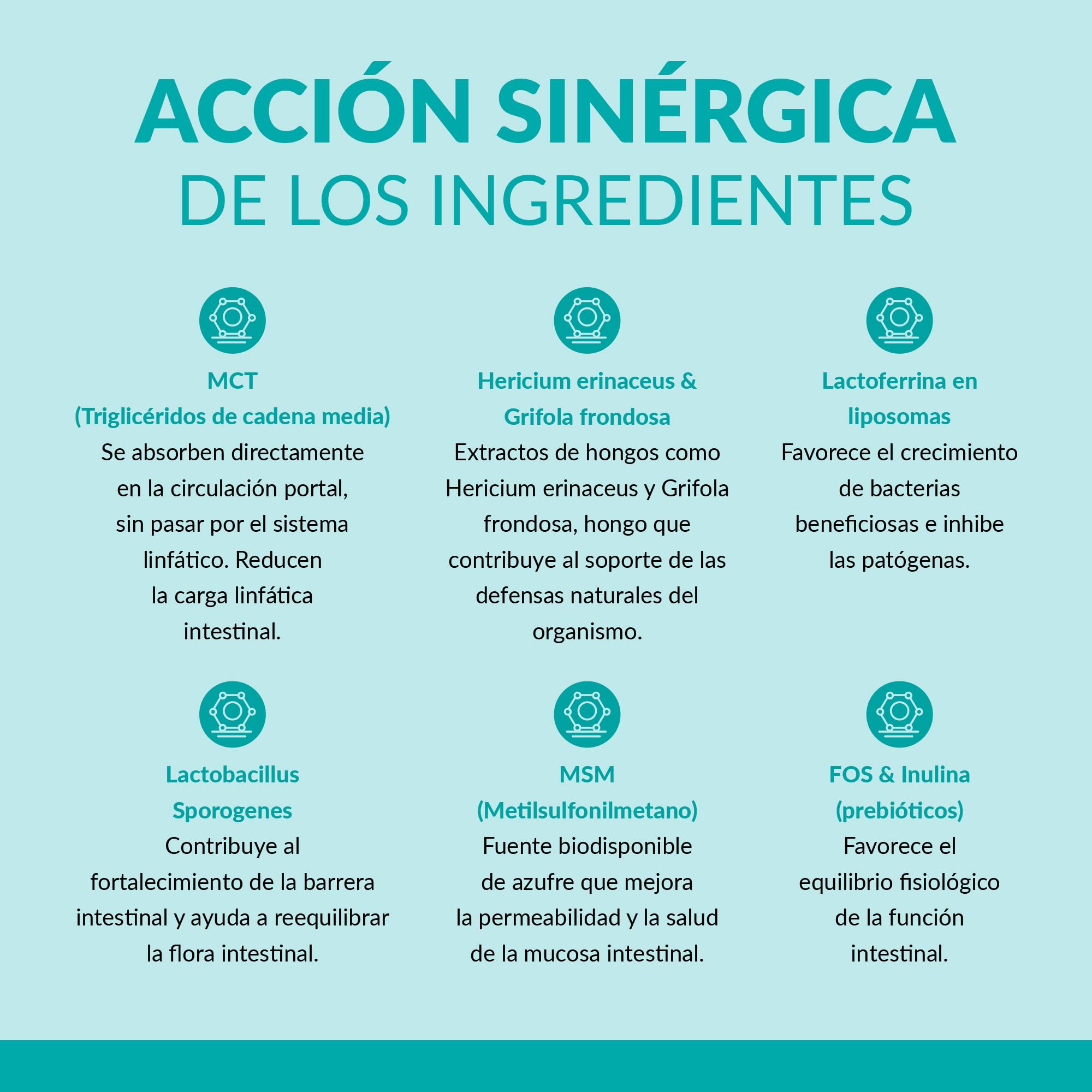 Linfobiotic - integratore alimentare formulato per supportare l'equilibrio del microbiota intestinale - 30 bustine