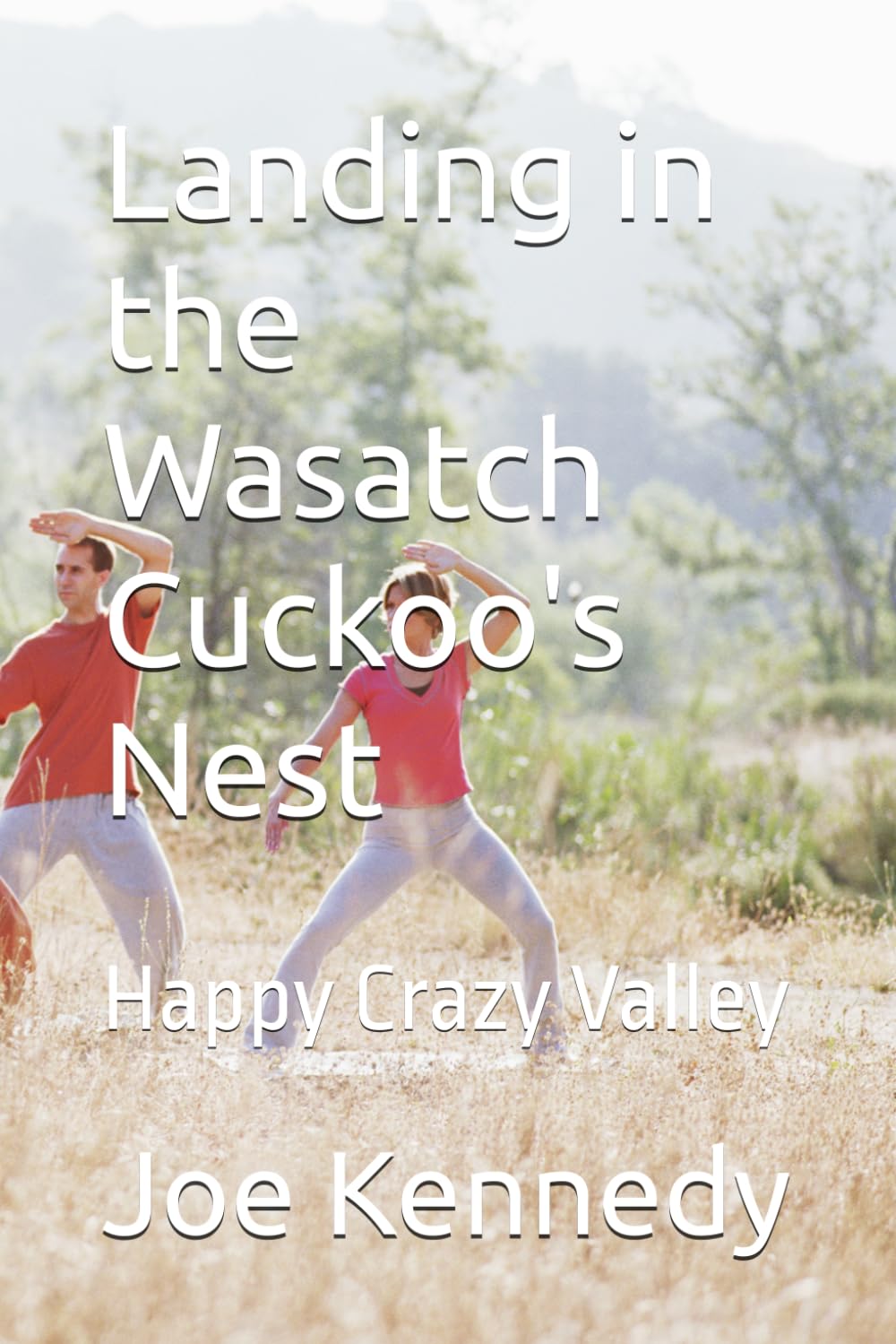 Landing in the Wasatch Cuckoo's Nest: Happy Crazy Valley
