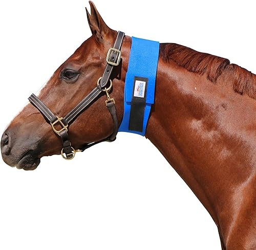 Dura-Tech Sudor de garganta estrecha superior para caballos, talla S, ideal para el cuidado de la garganta de caballo, neopreno súper elástico,