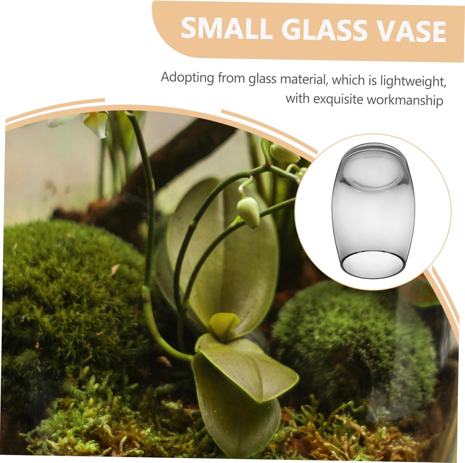 VICASKY Micro Landscape Glass Jar Moss Micro-Landscape Fern Moss Terrarium Container Betta Tank Desktop Glass Terrarium Modern