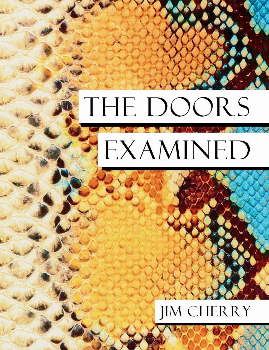 The Doors Examined (Music Biography)