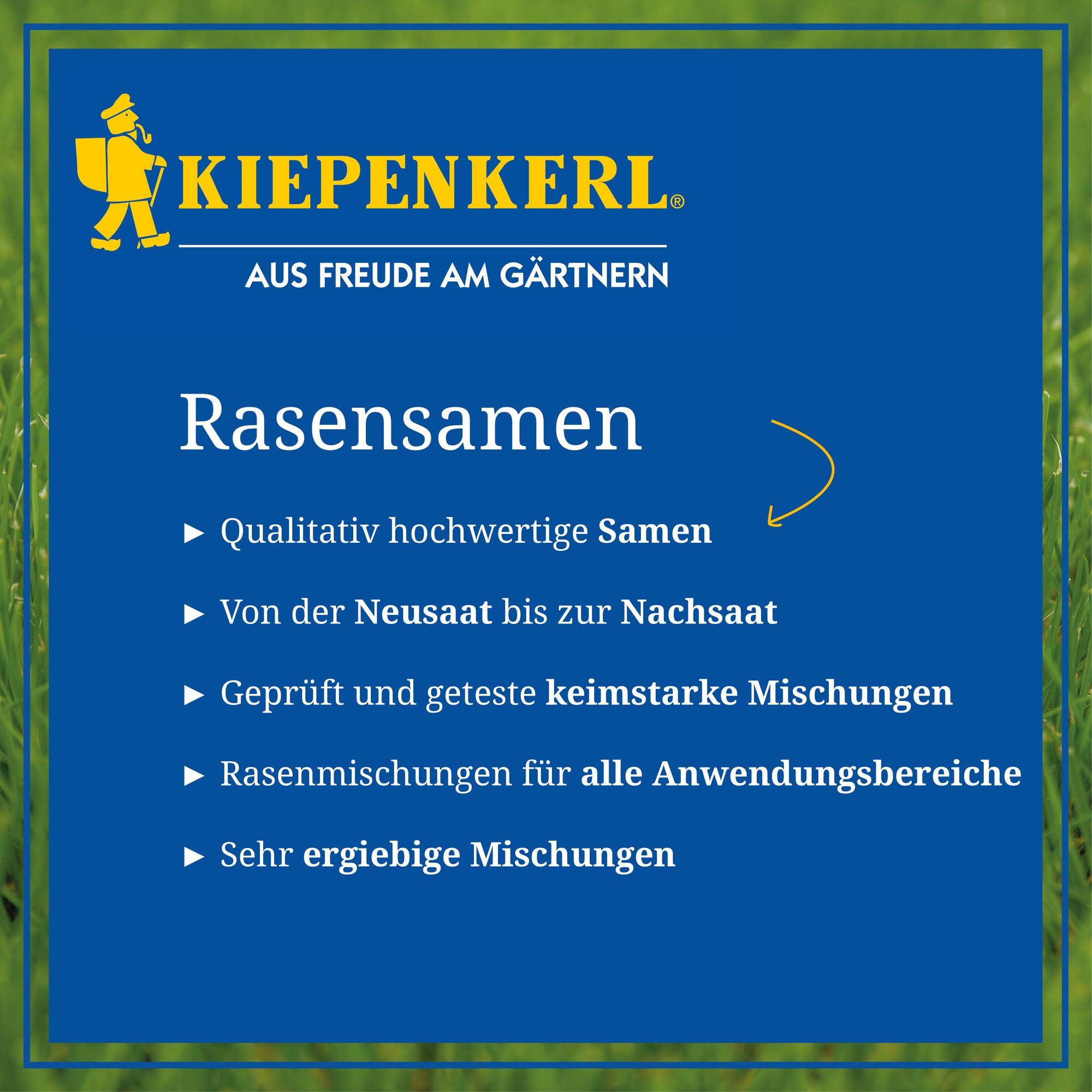 Rasensamen - Regenerations-Rasen 10 kg von Kiepenkerl