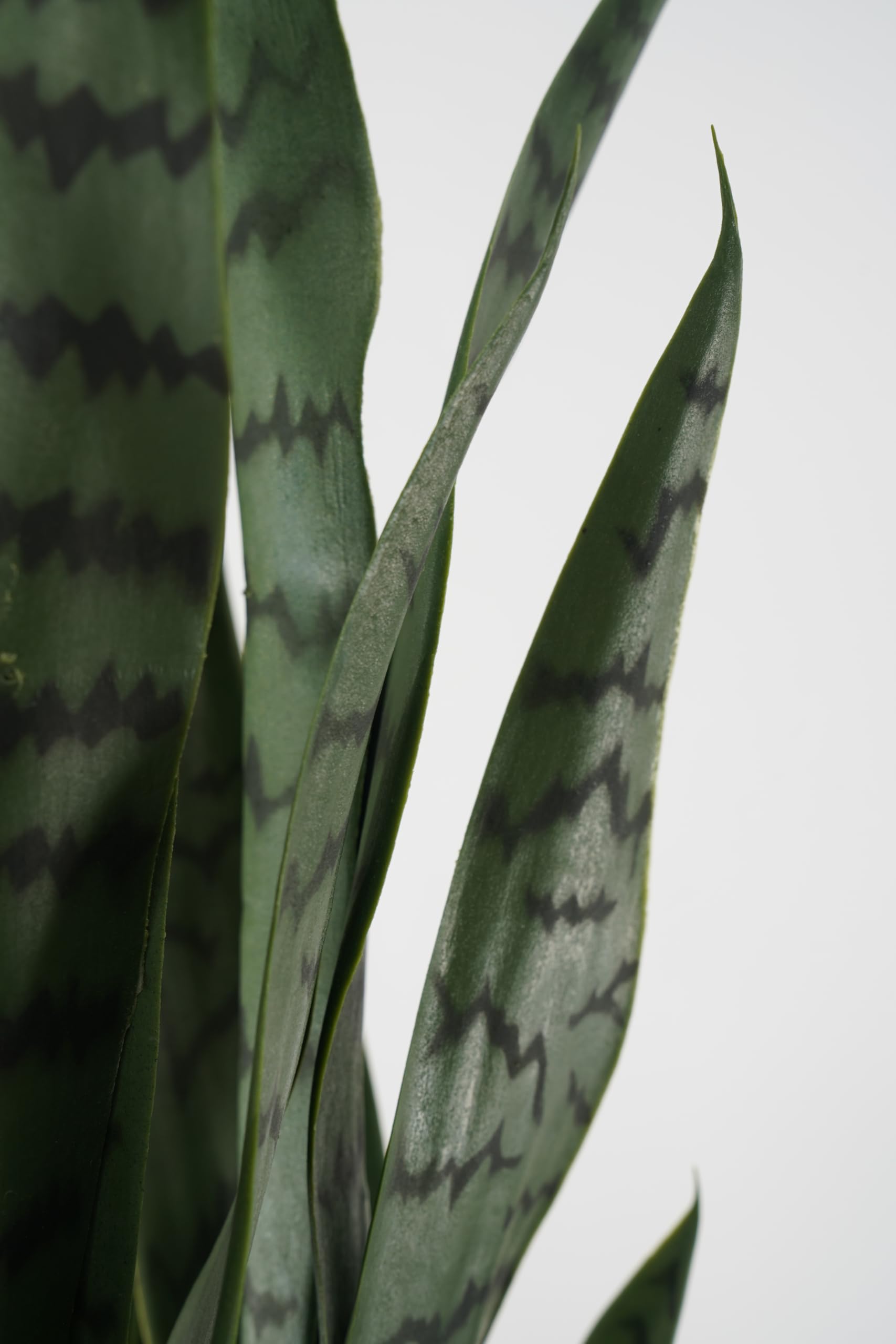 Sansevieria Artificiale Pianta Grassa Sintetica Realistica Foglie in Pvc per Arredare Interni e Attività Commerciali (Saveria - Sansevieria 66 cm)