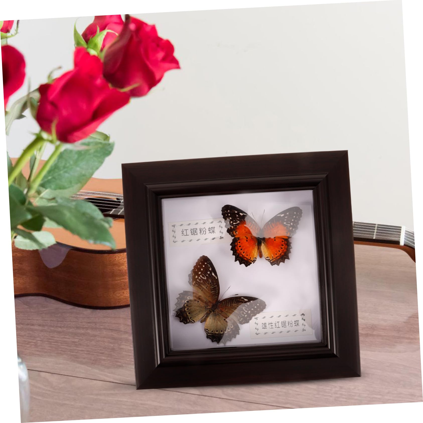 Amazon.co.jp: 蝶のフォトフレーム 蝶の額縁飾り 標本展示枠 蝶々の