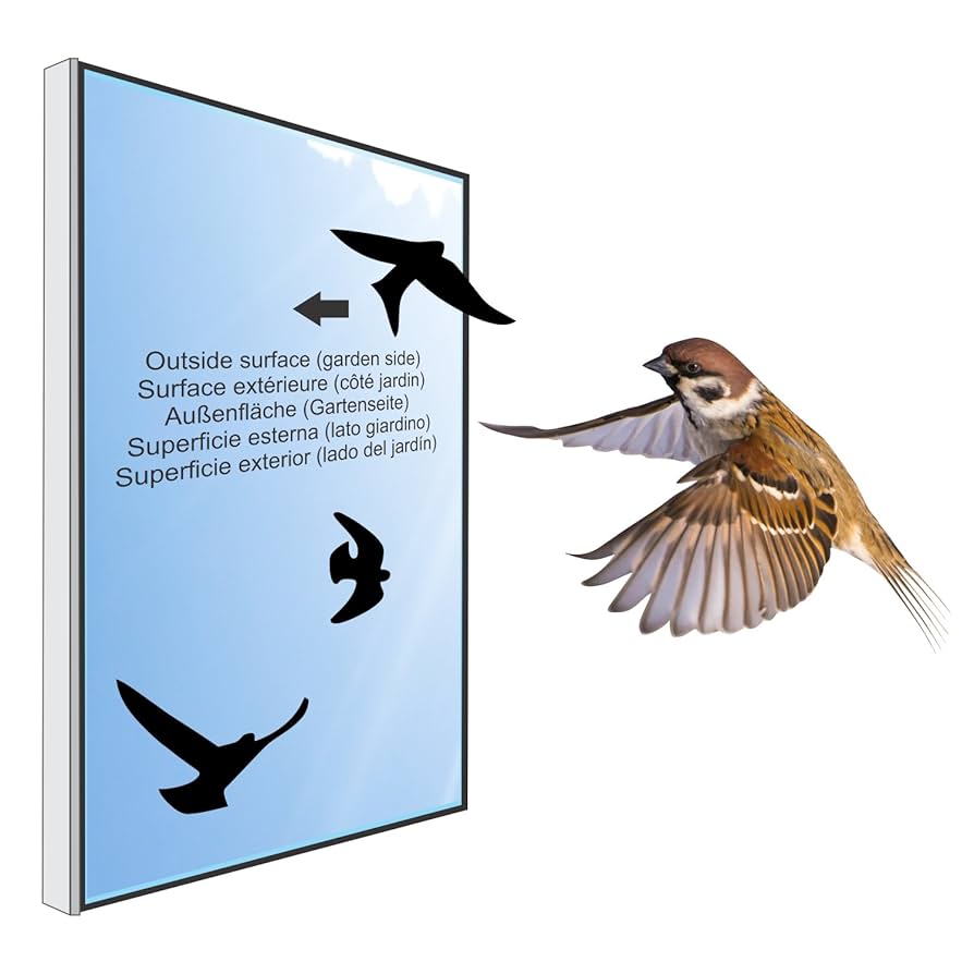 Adesivi Anti-Collisione Per Vetri - 48 Tondi Traslucidi | Prevengono Urto Uccelli E Persone - Foto 8