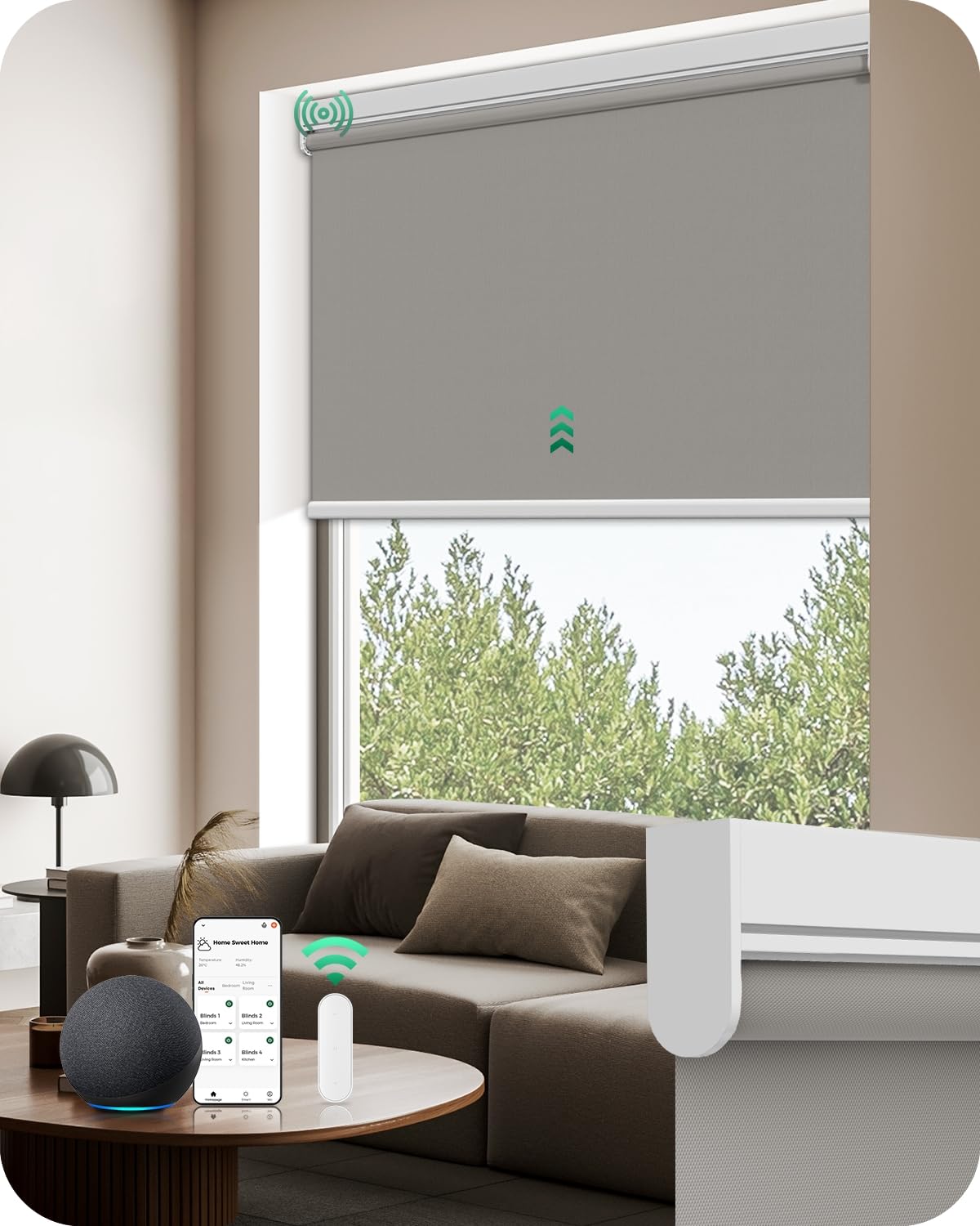 Allesin Motorized Blinds