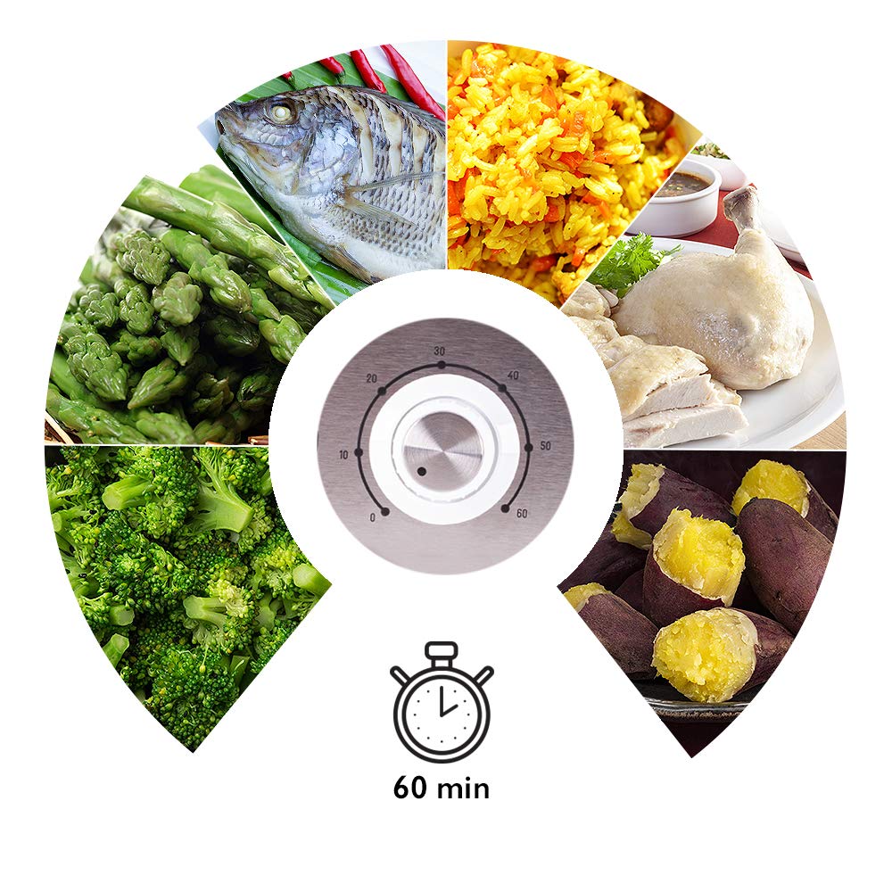 Duronic FS87 Vaporera eléctrica 870W | Minutero Temporizador | Capacidad de 10.6 litros y Bandeja antigoteo | Libre de BPA | Cocine verduras pescado arroz platos más sanos