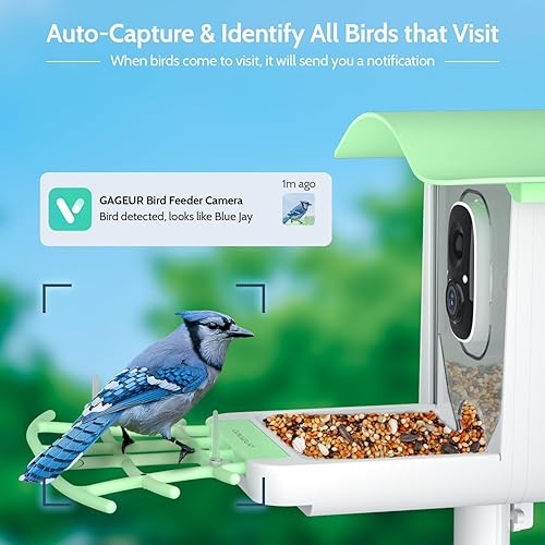 Miniatura 3 de GAGEUR Comedero para pájaros con cámara, cámara inteligente para comederos de pájaros con panel solar, identificación con inteligencia artificial
