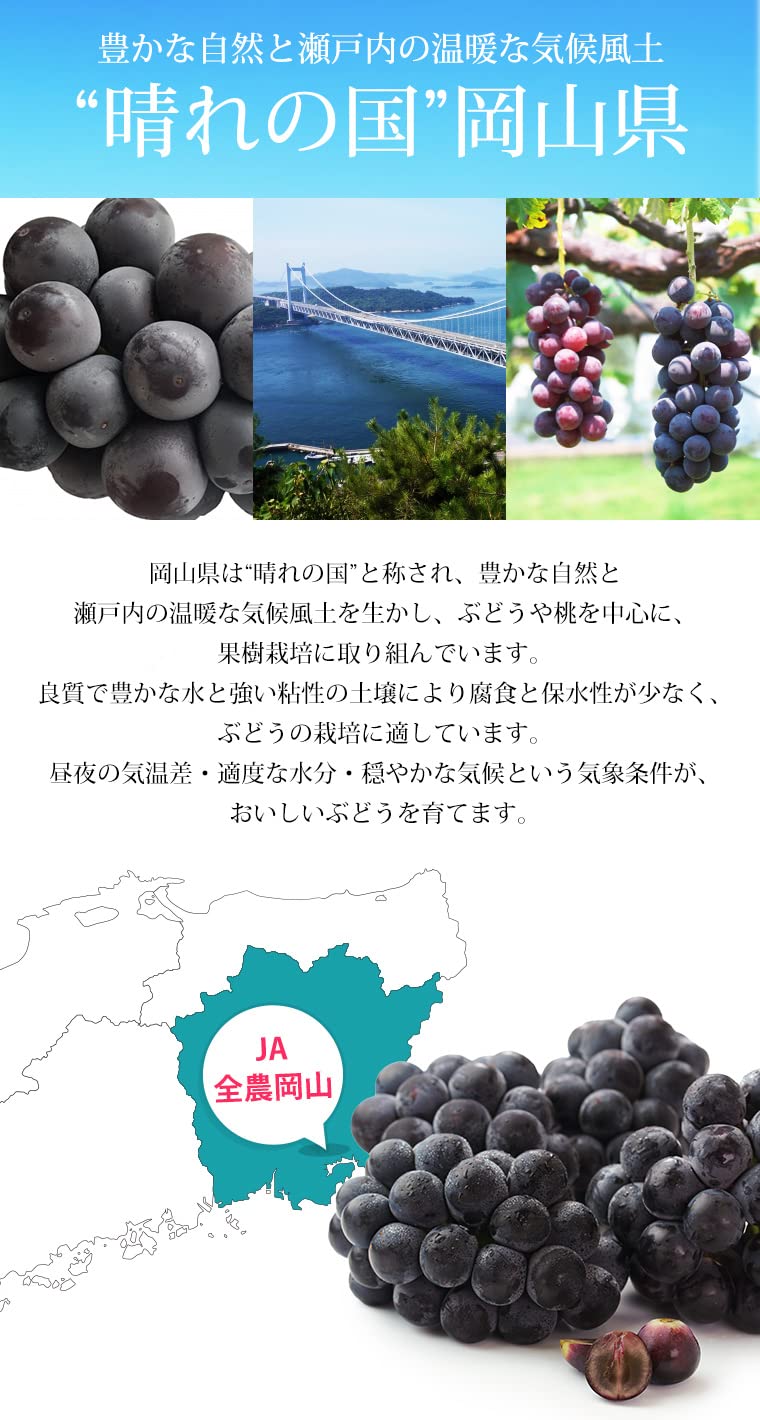 Amazon.co.jp: ぶどう オーロラブラック 種なし 秀品 約2kg 4～5房 JA