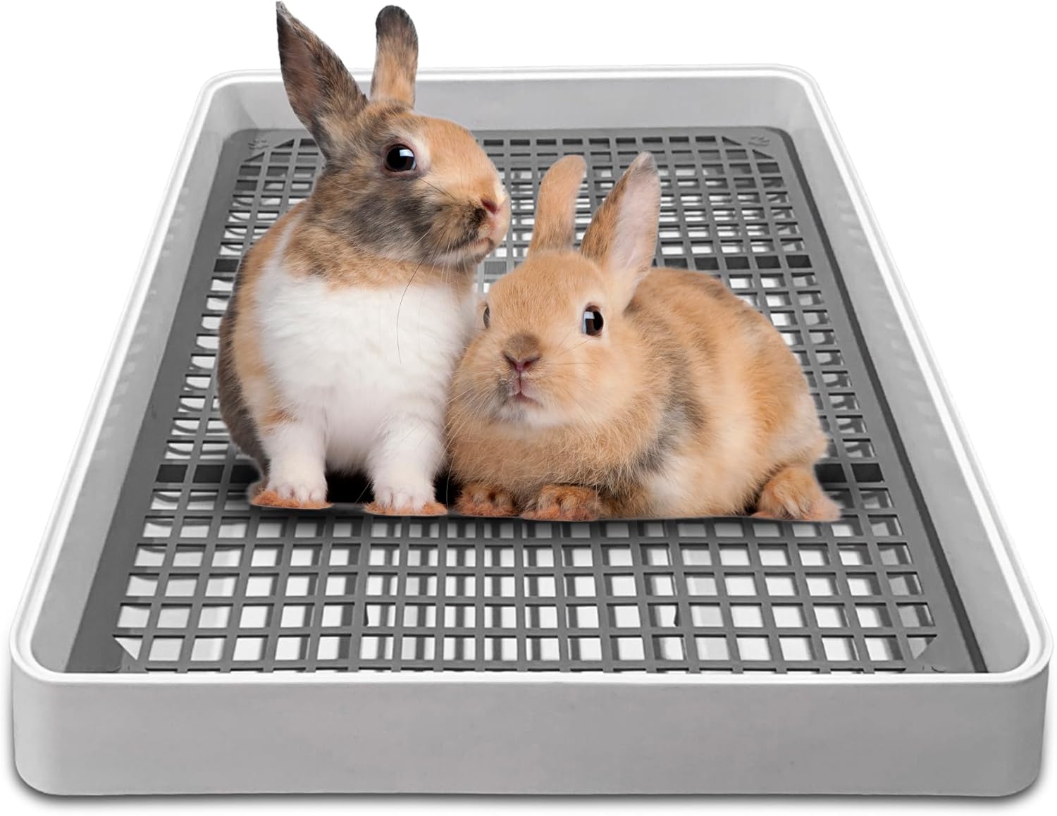 The Furrie Guinea Pig Litter Box, Tray Toilet for Bunny