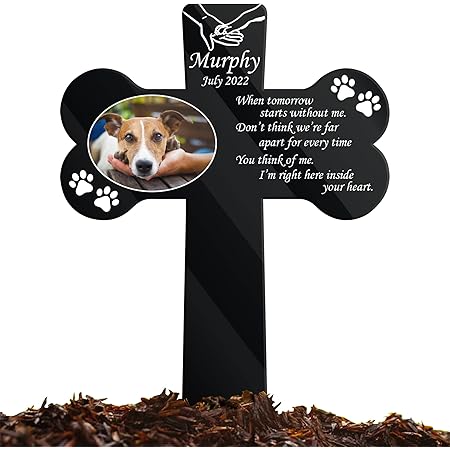 Interface de Stake-fr.eu