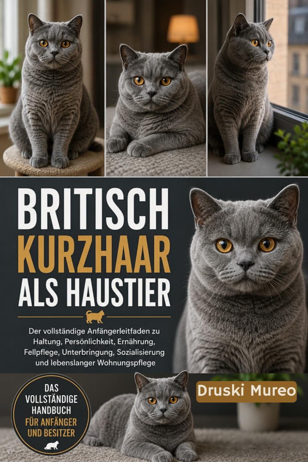 BRITISCH KURZHAAR ALS HAUSTIER: Der vollständige Anfängerleitfaden zu Haltung, Persönlichkeit, Ernährung, Fellpflege, Unterbringung, Sozialisierung und lebenslanger Wohnungspflege